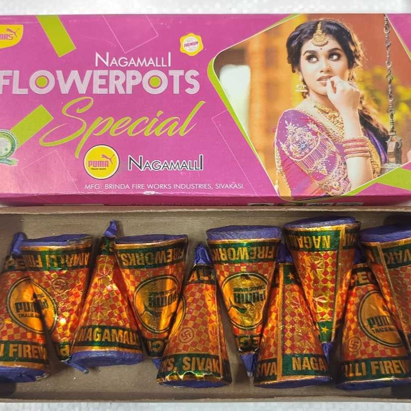 Flower Pots Medium Special